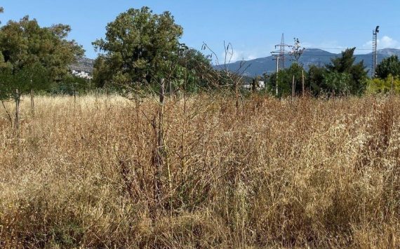 Σημαντικά προβλήματα και κίνδυνοι στο Μητροπολιτικό Πάρκο Αντώνης Τρίτσης.