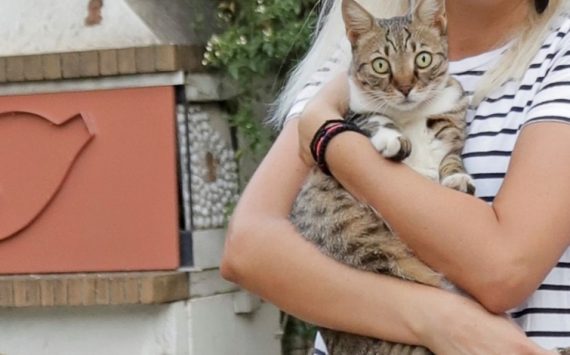 Παγκόσμια ημέρα των ζώων 2021.